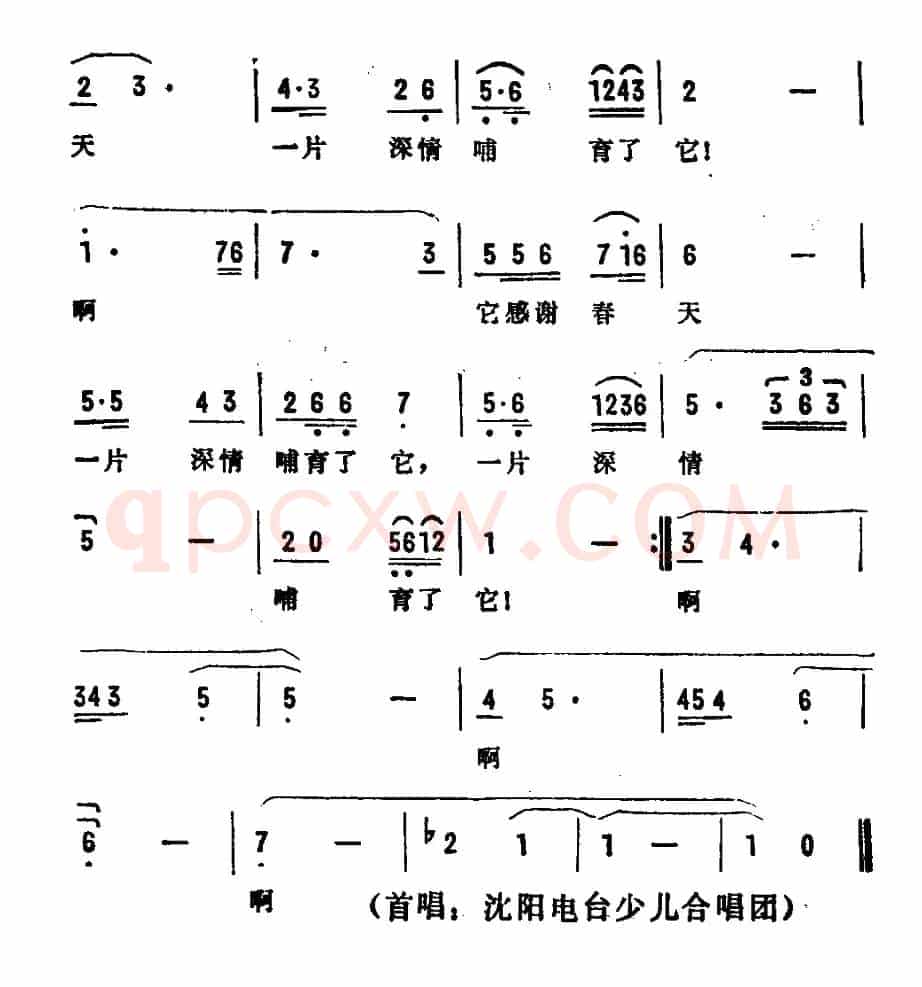 迟开的小春花