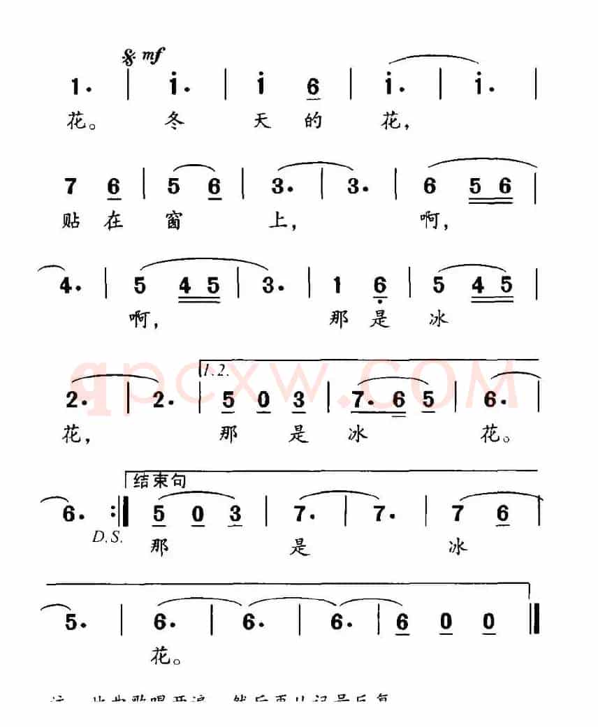冬天的花