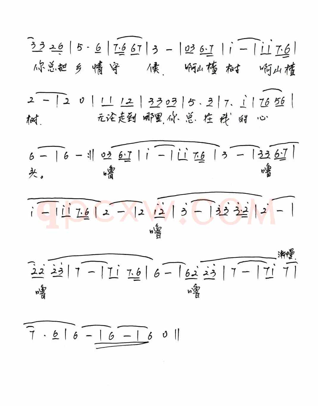 故乡有棵山楂树