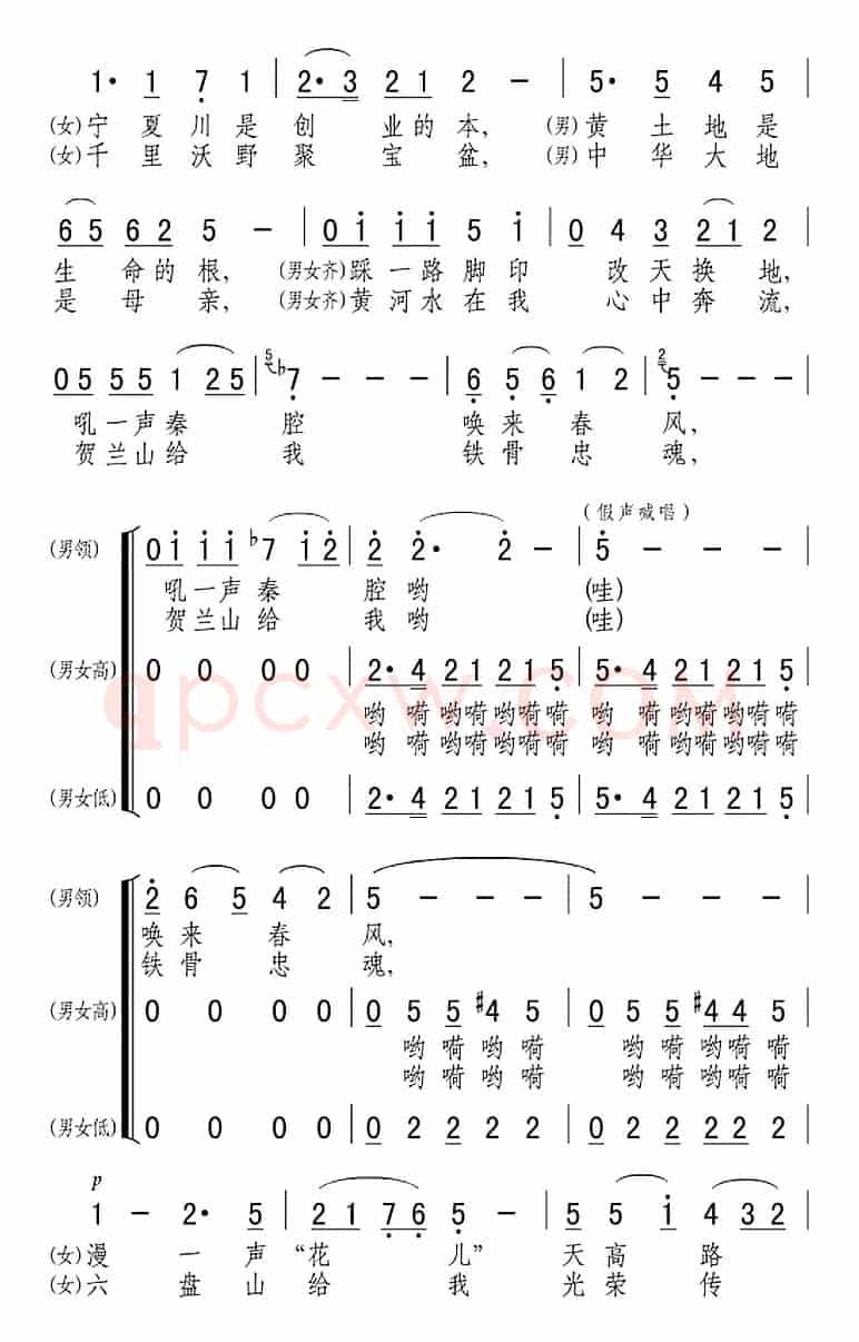 宁夏人（音乐电视片《宁夏好风光》插曲）