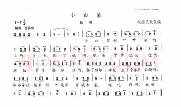 小白菜