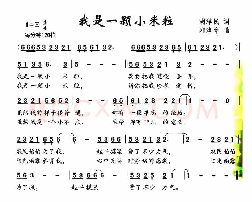 我是一颗小米粒