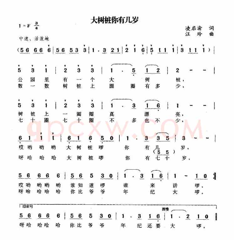 大树桩你有几岁