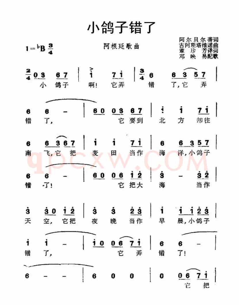 [阿根廷] 小鸽子错了