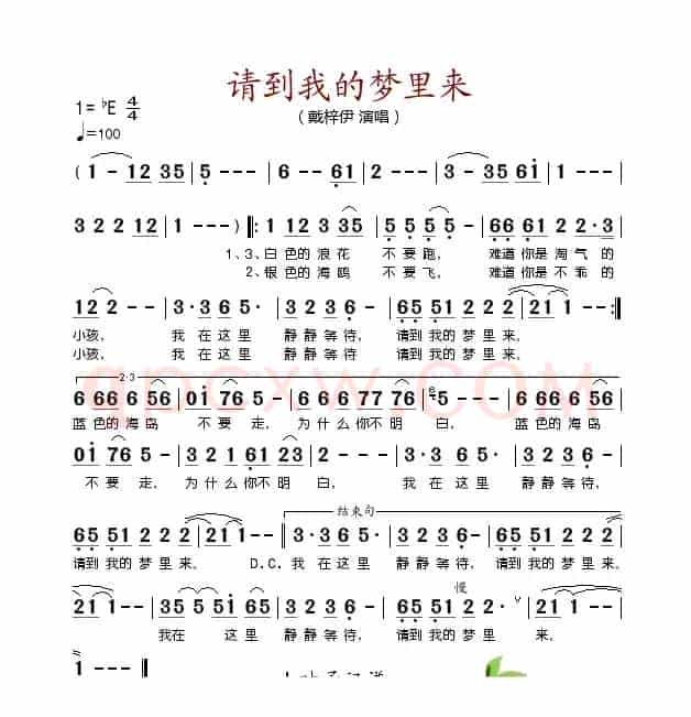 请到我的梦里来