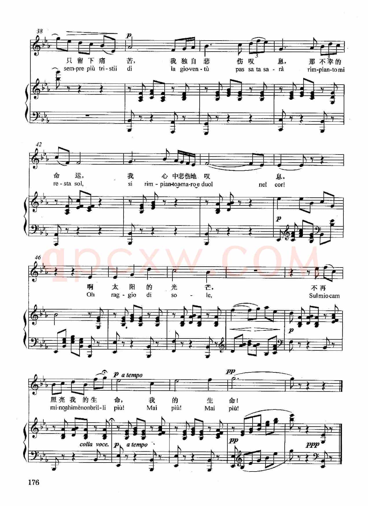 [意]悲叹的小夜曲（正谱）
