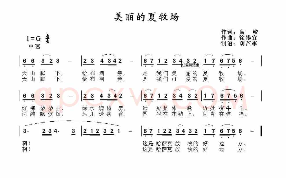 美丽的夏牧场