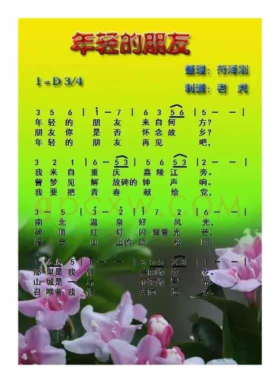 年轻的朋友