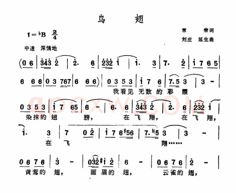 鸟翅