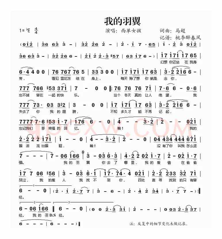 我的羽翼