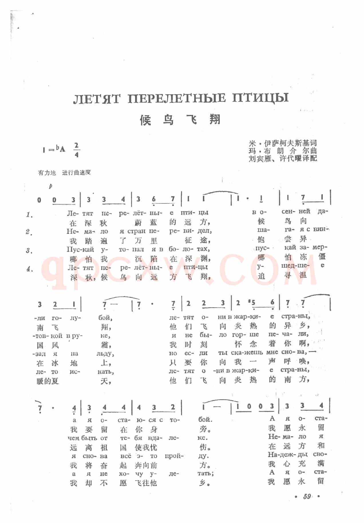 侯鸟飞翔летят перелетные птицы（中俄简谱）