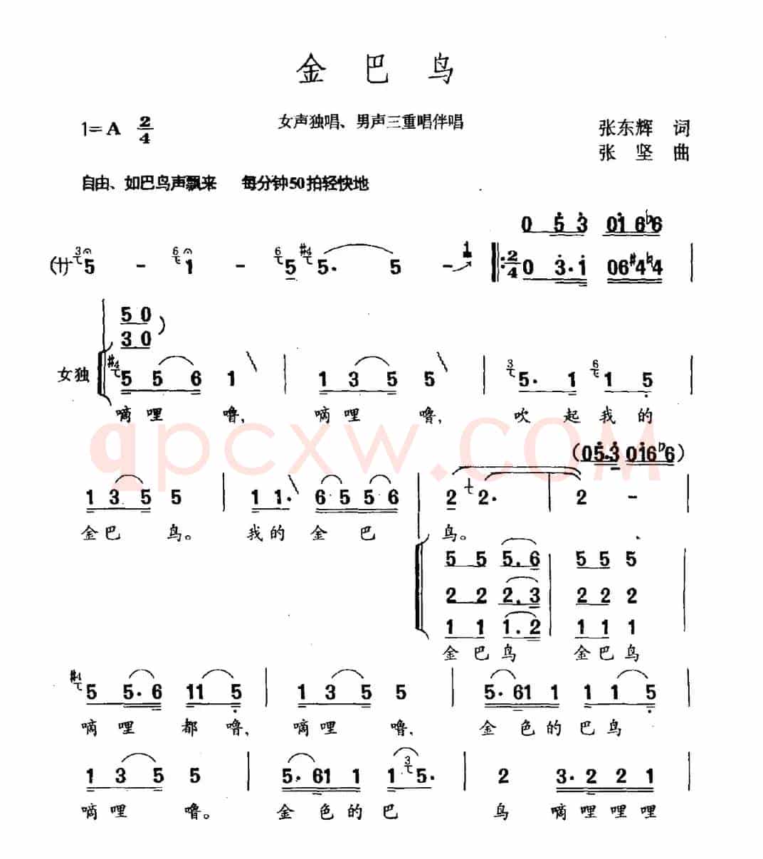 金巴鸟