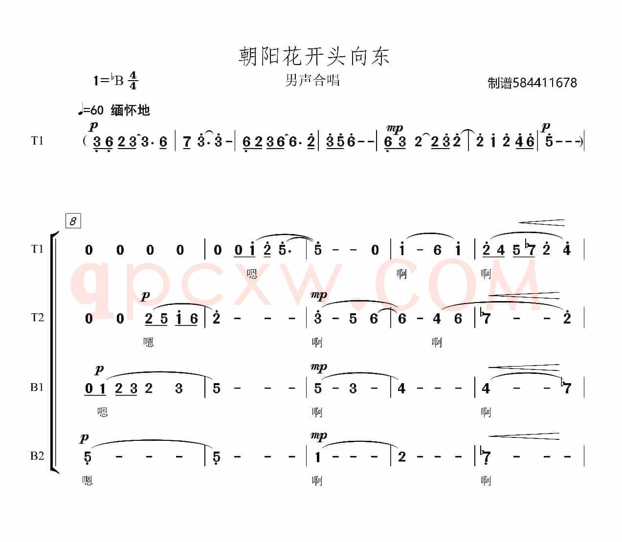 朝阳花开头向东男声合唱谱