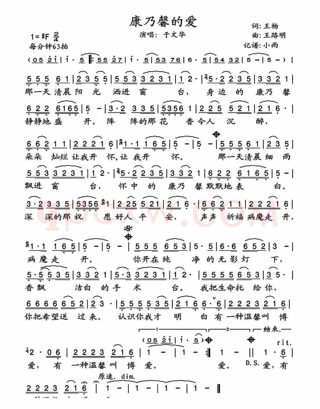 康乃馨的爱