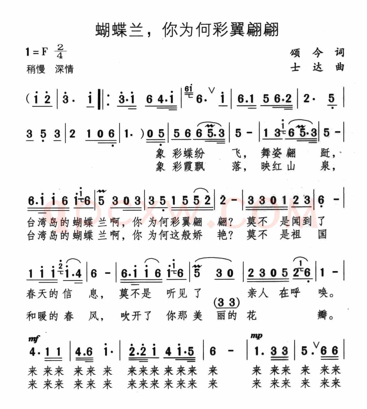 蝴蝶兰，你为何彩翼翩翩