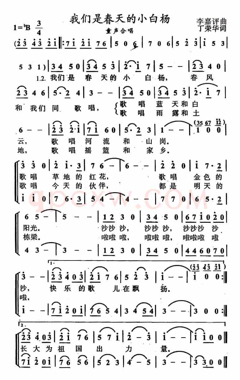 我们是春天的小白杨