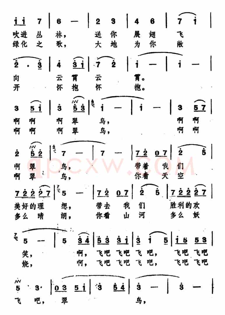 翠鸟