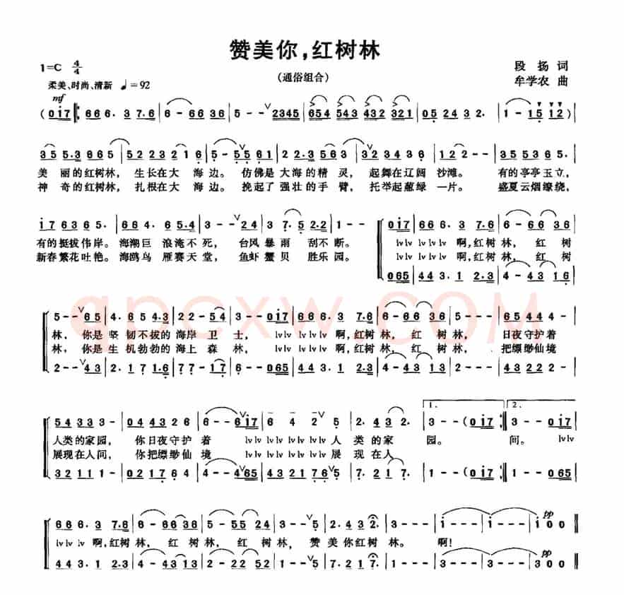 赞美你，红树林