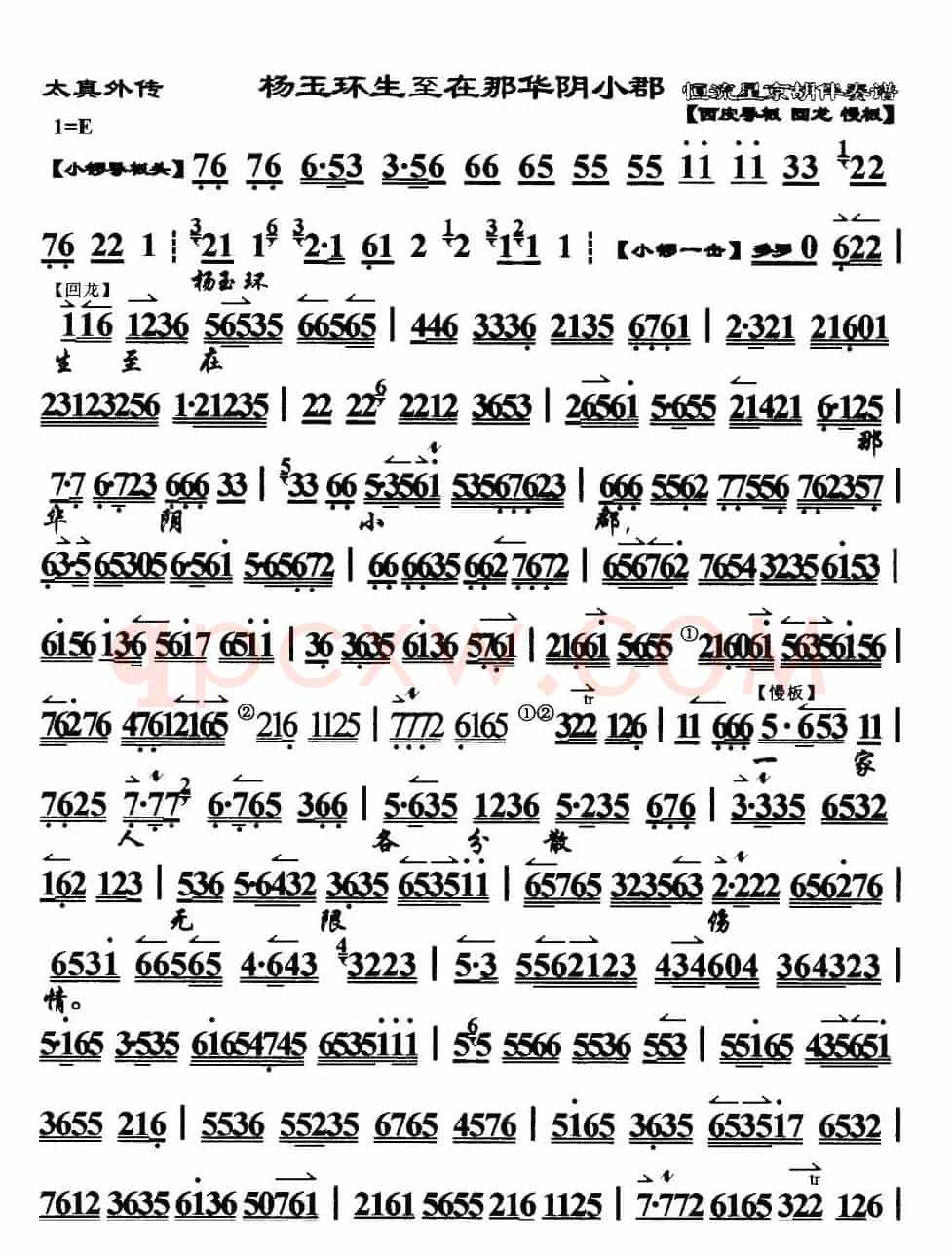 杨玉环生至在那华阴小郡（《太真外传》选段、琴谱）