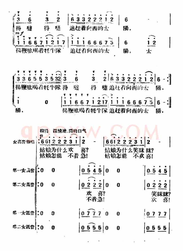 牦牛队的姑娘 