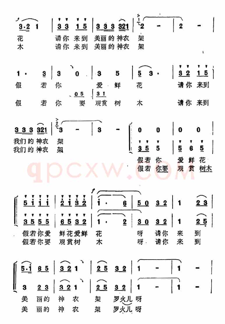 美丽的神农架 