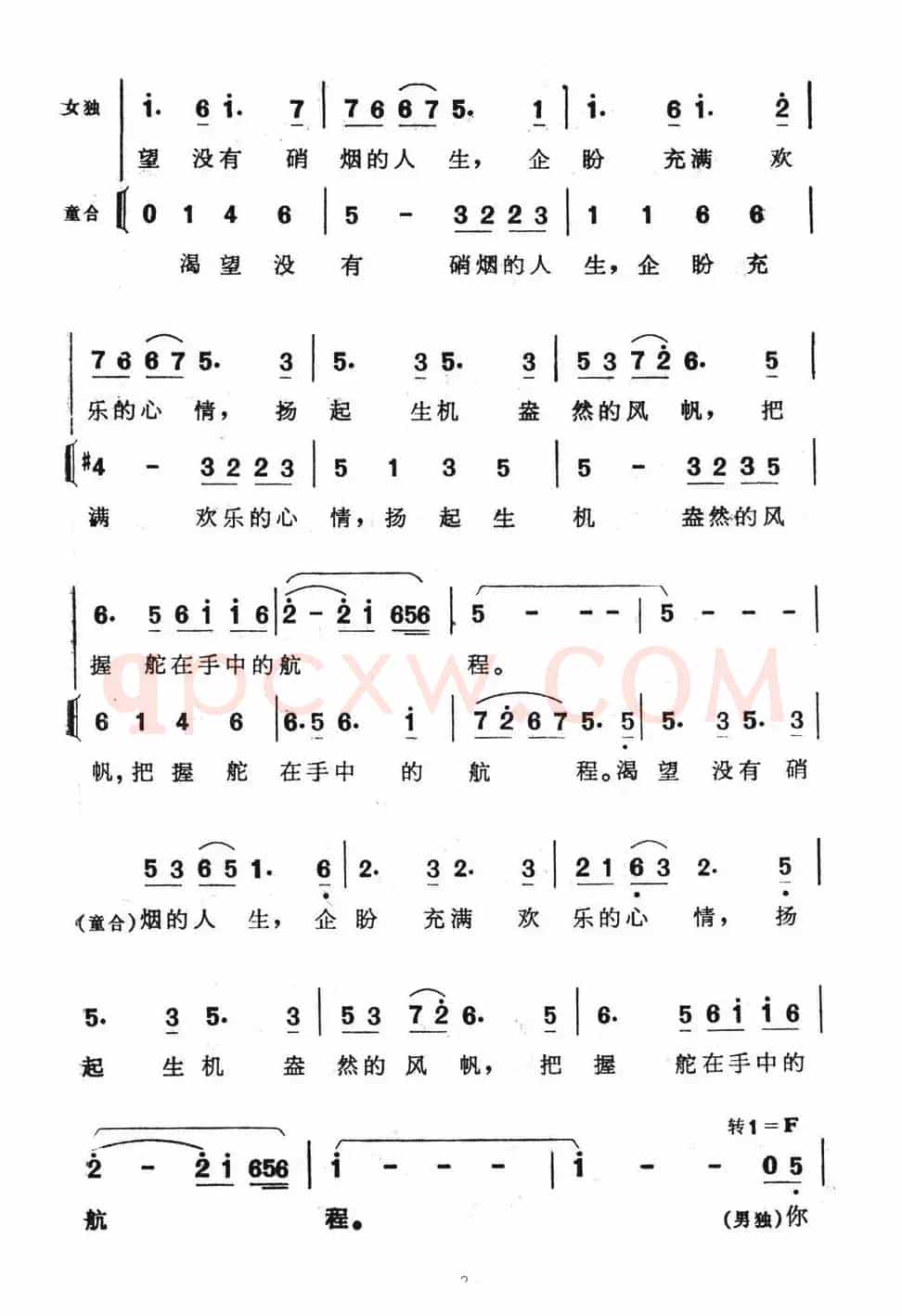 鸽子情