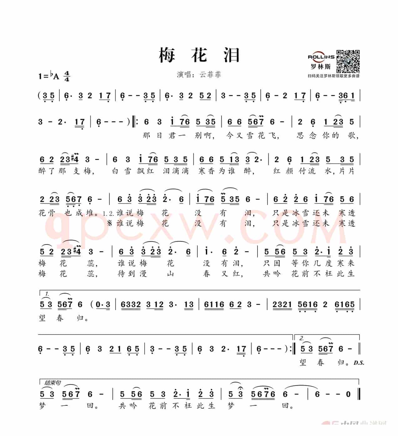 梅花泪