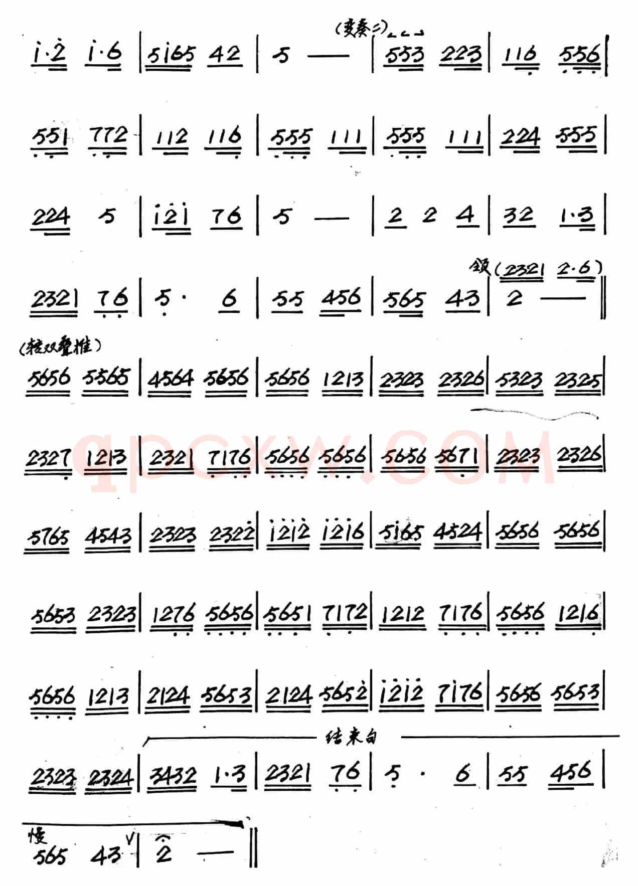 春到园林