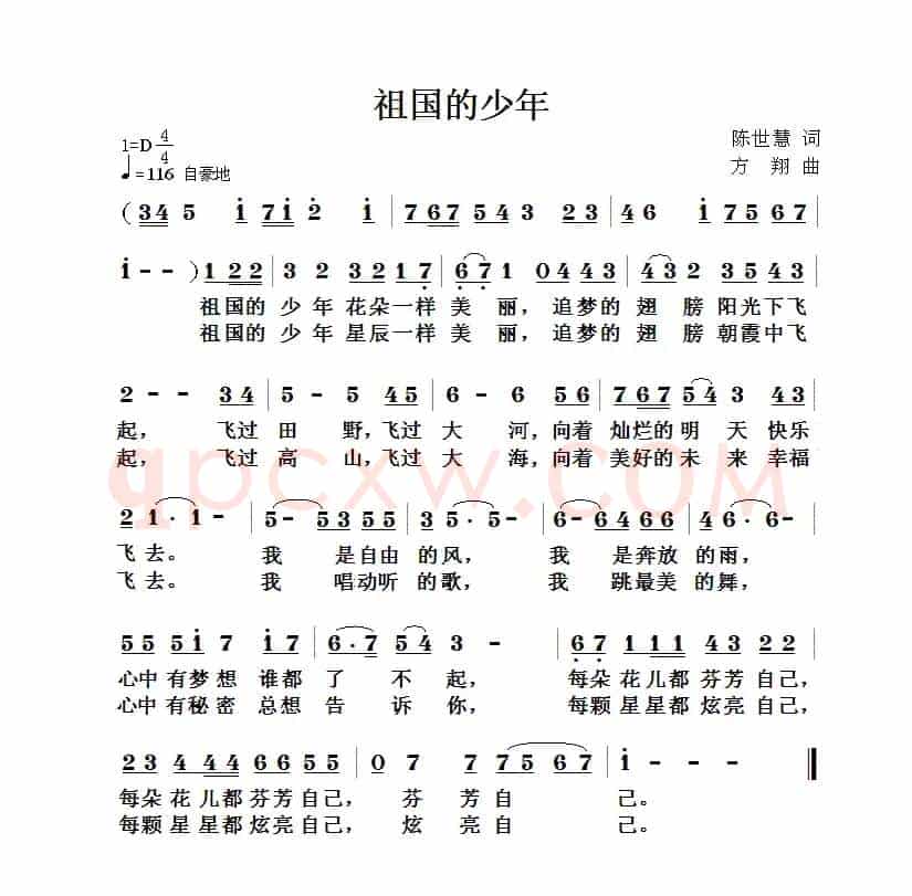 祖国的少年