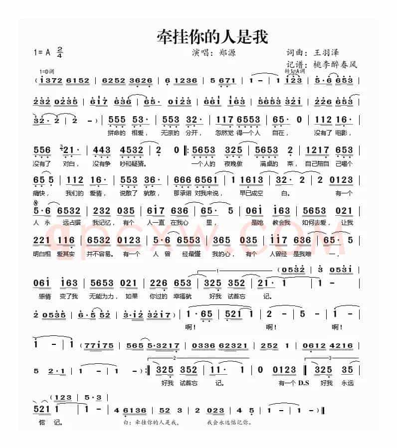 牵挂你的人是我(王羽泽词曲)
