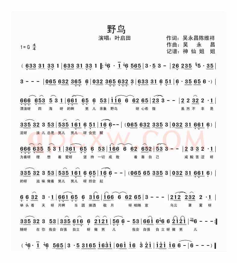 野鸟（闽南语演唱）