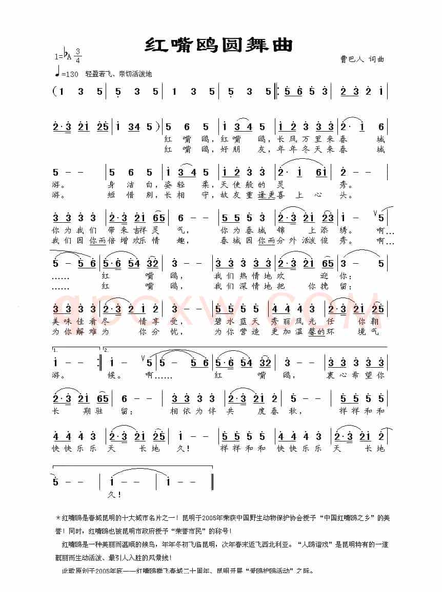 红嘴鸥圆舞曲