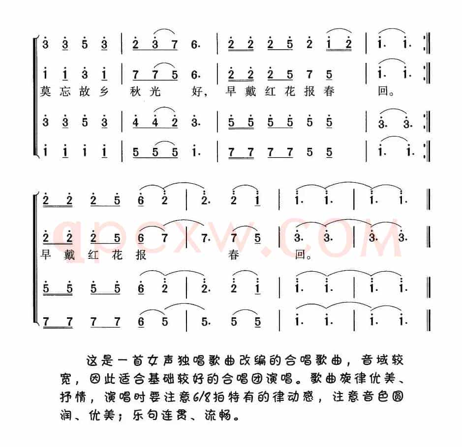 芦花（蒋敏编合唱版）