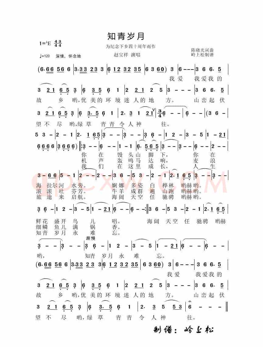 知青岁月（陈晓光专辑）