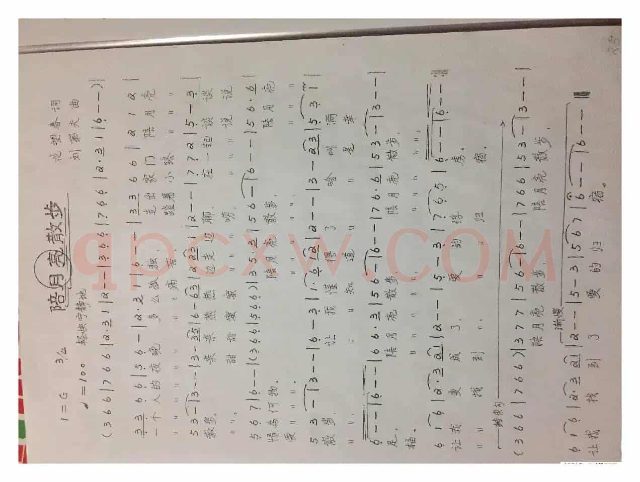 陪月亮散步