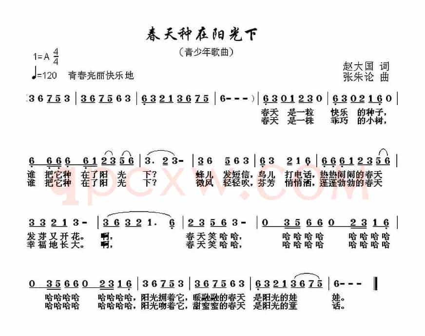 春天种在阳光下