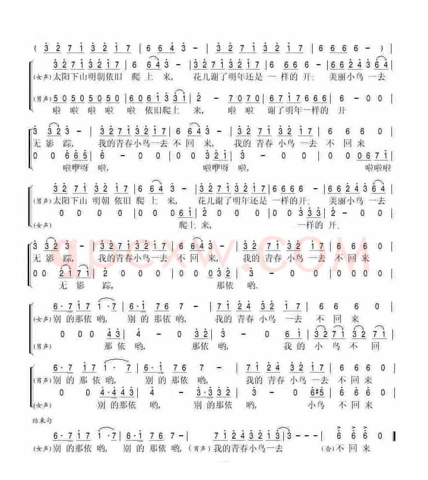 青春舞曲