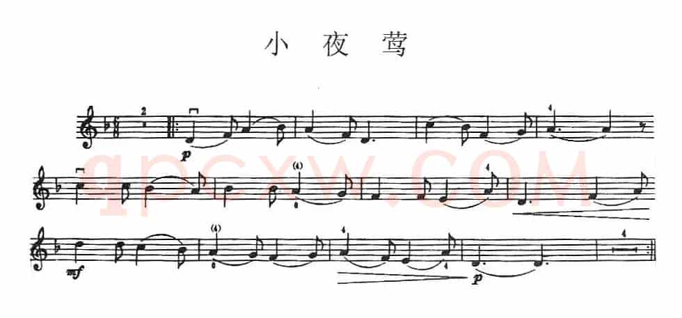 小夜莺