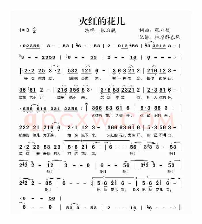 火红的花儿