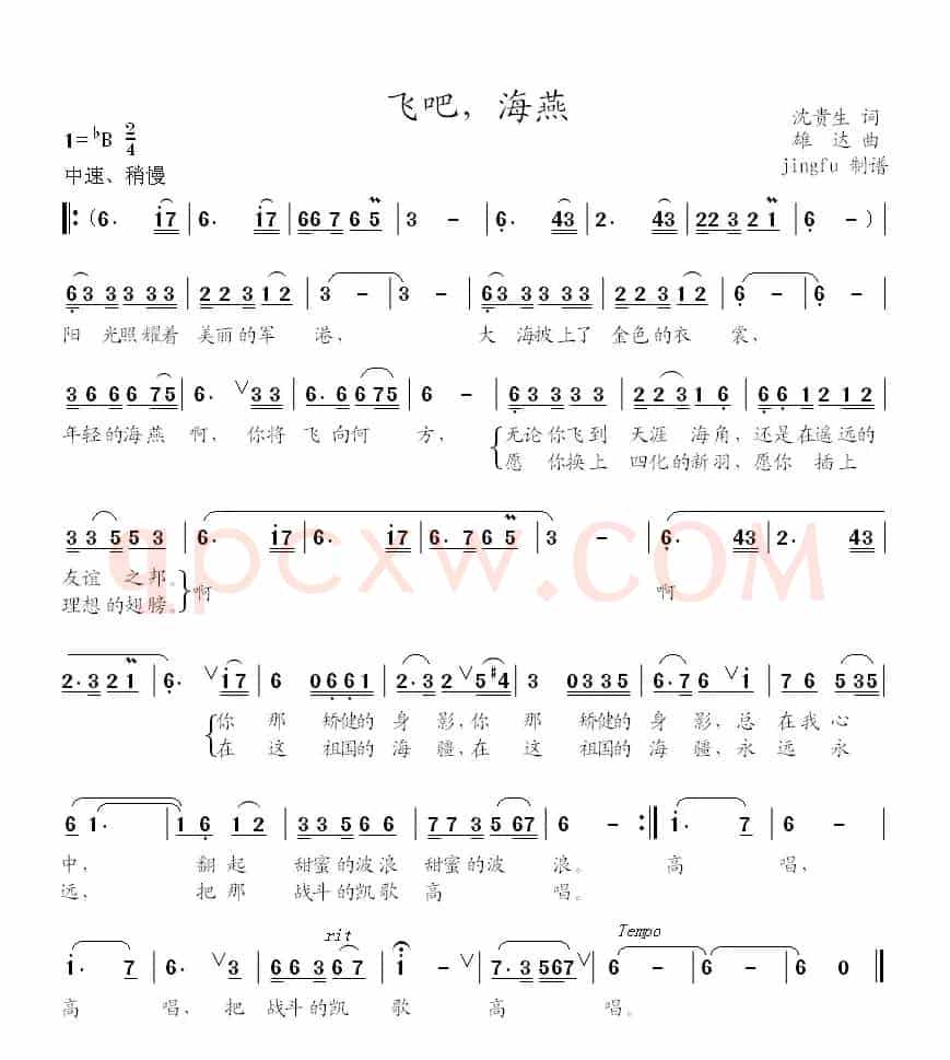 飞吧,海燕