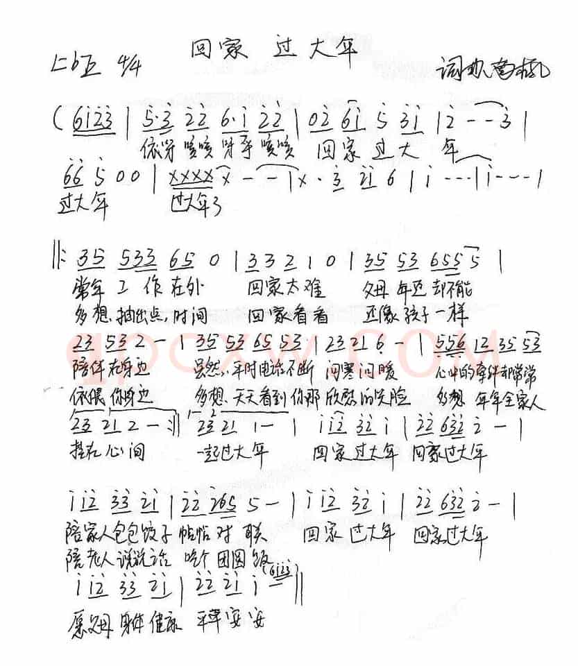 回家 过大年