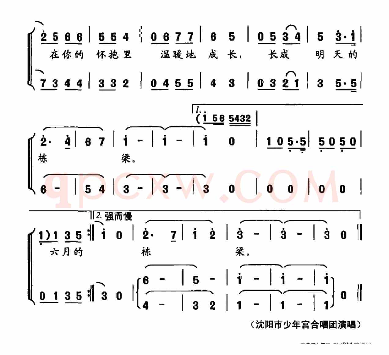中国放飞的希望