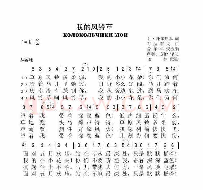 我的风铃草