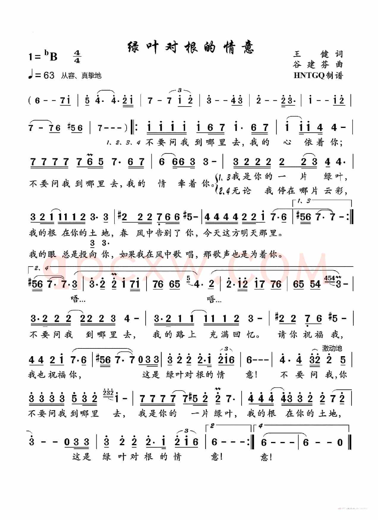 绿叶对根的情意