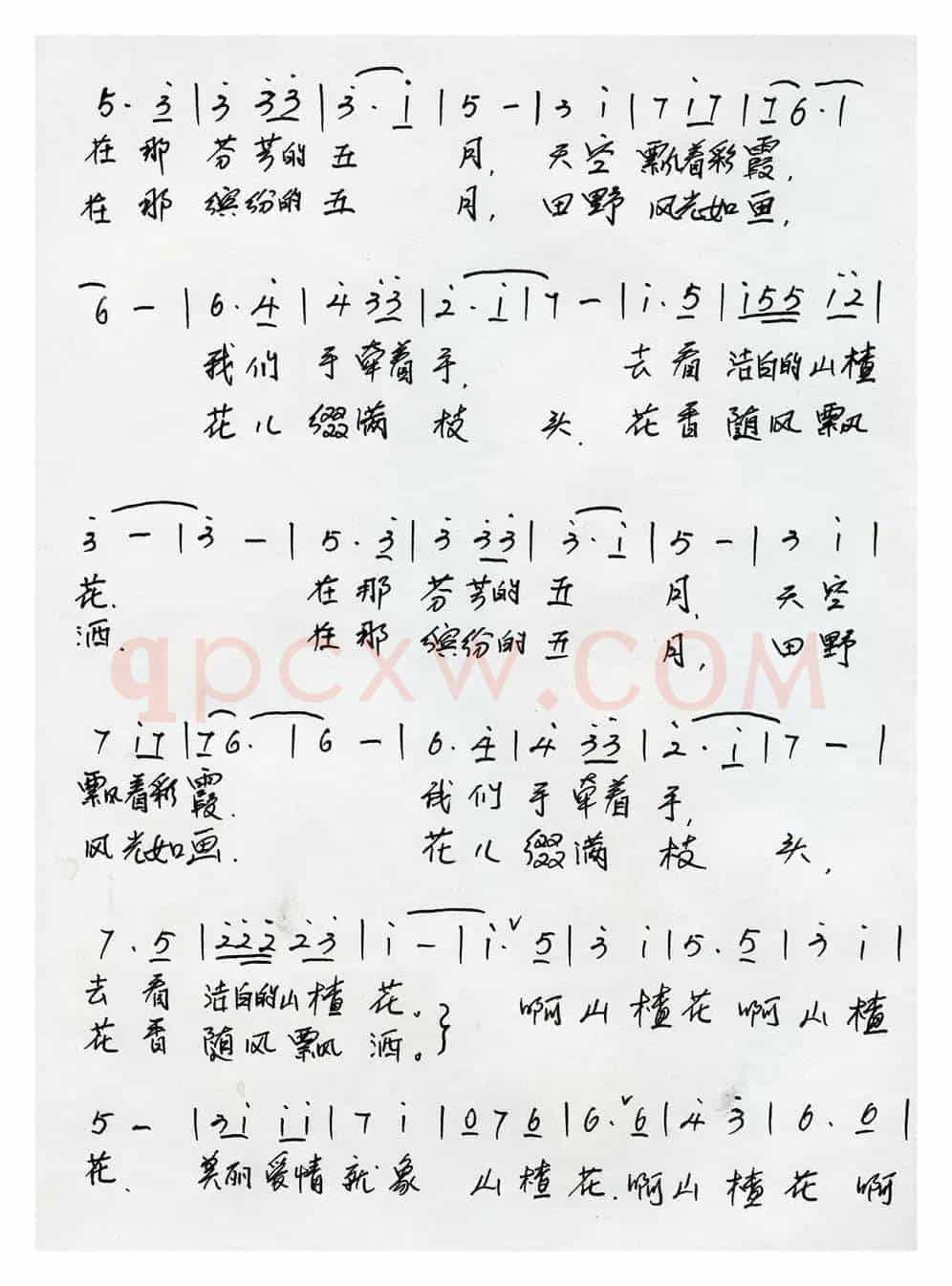 我们去看山楂花