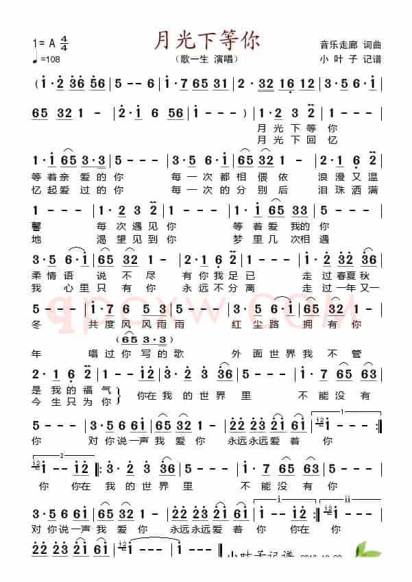 月光下等你（音乐走廊 词曲）