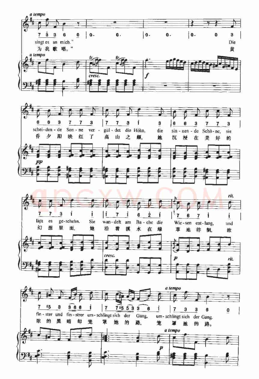 Sehnsucht（渴望 ）（中外文对照、正谱+简谱）