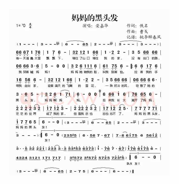 妈妈的黑头发