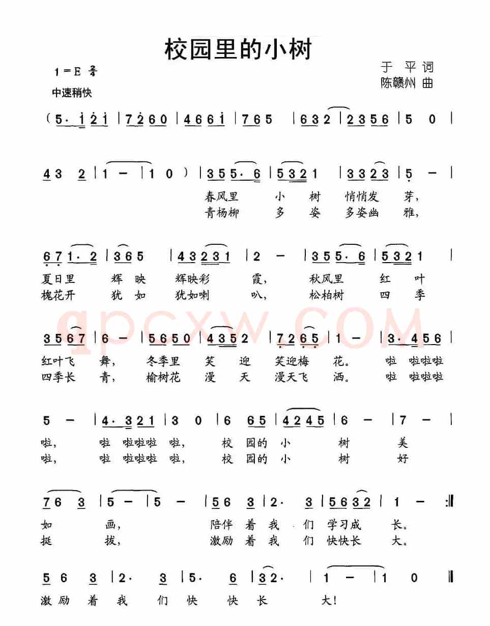 校园里的小树