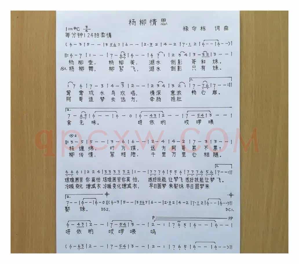 杨柳情思